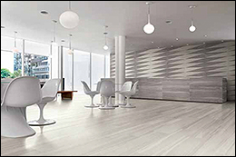 rainbow_and_shipwood