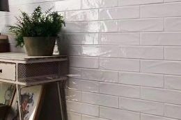 75300mould lifestyle